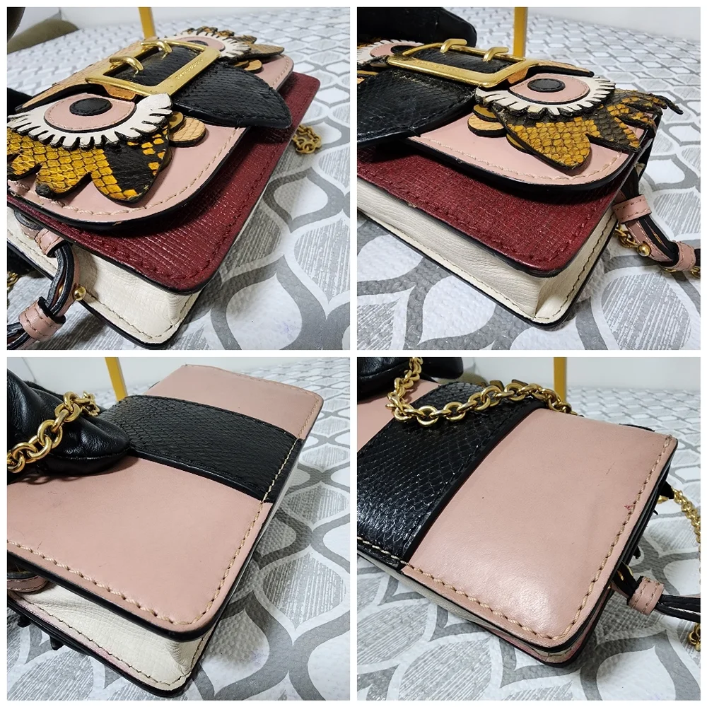 Burberry Owl Chain-Linked Crossbody Bag Multicolored - Picture 13 of 15